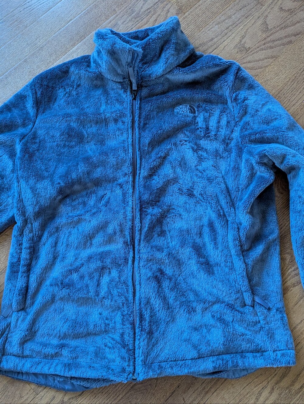 The North Face Adult Blue Plush Full-Zip Fleece Jacket